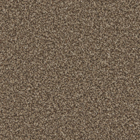 Kingston Mocha Carpet - Mocha / 4m