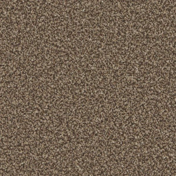 Kingston Mocha Carpet - Mocha / 4m