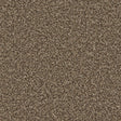 Kingston Mocha Carpet - Mocha / 4m
