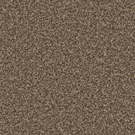 Kingston Mocha Carpet - Mocha / 4m