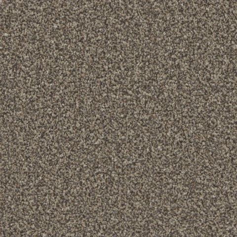 Kingston Molasses Carpet - Molasses / 4m