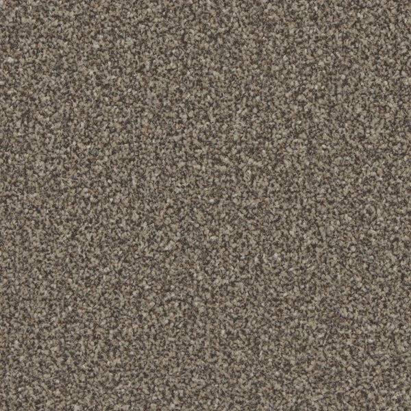 Kingston Molasses Carpet - Molasses / 4m