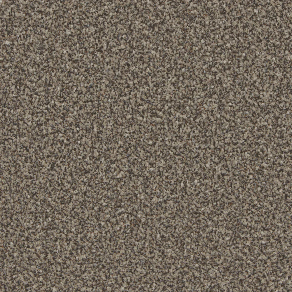 Kingston Molasses Carpet - Molasses / 4m