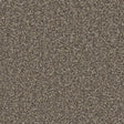 Kingston Molasses Carpet - Molasses / 4m