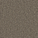 Kingston Molasses Carpet - Molasses / 4m