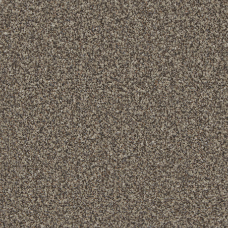 Kingston Molasses Carpet - Molasses / 4m