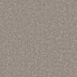 Kingston Mushroom Carpet - Mushroom / 4m