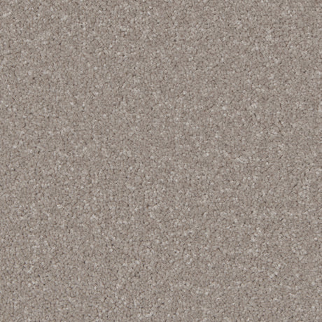 Kingston Mushroom Carpet - Mushroom / 4m