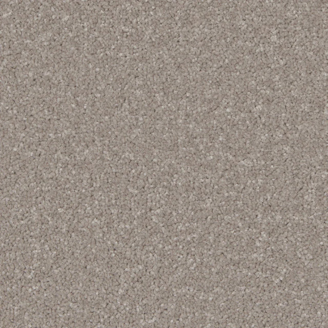 Kingston Mushroom Carpet - Mushroom / 4m