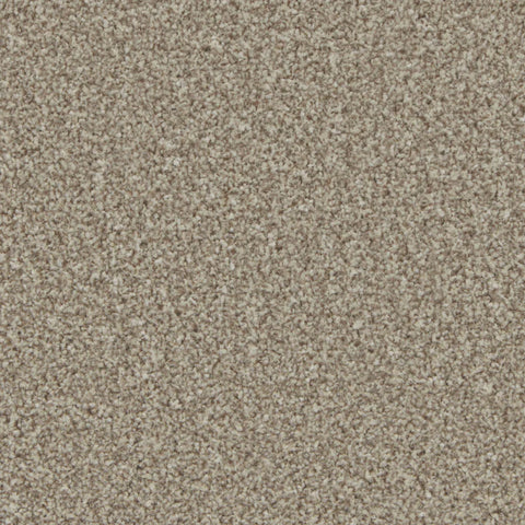 Kingston Pale Oak Carpet - Pale Oak / 4m
