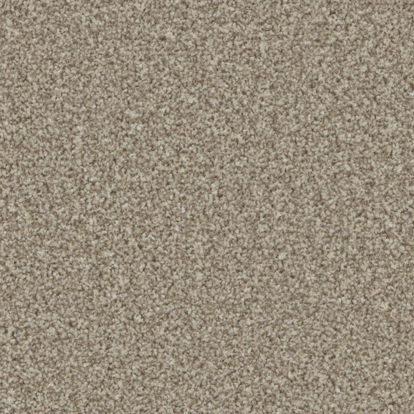 Kingston Pale Oak Carpet - Pale Oak / 4m