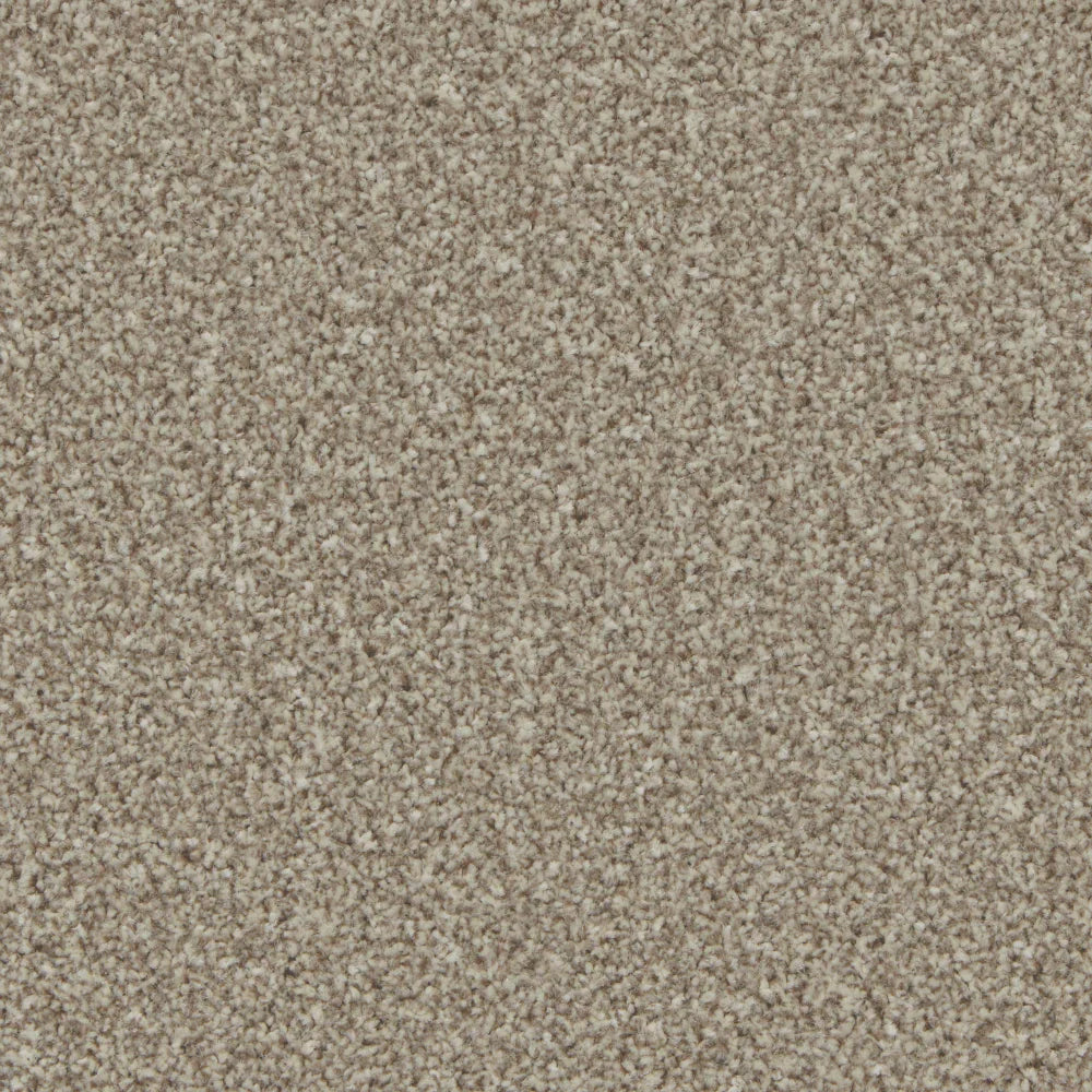 Kingston Pale Oak Carpet - Pale Oak / 4m