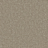 Kingston Pale Oak Carpet - Pale Oak / 4m