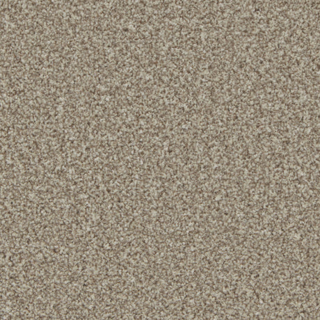 Kingston Pale Oak Carpet - Pale Oak / 4m