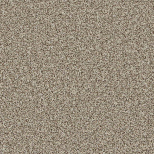 Kingston Pale Oak Carpet - Pale Oak / 4m