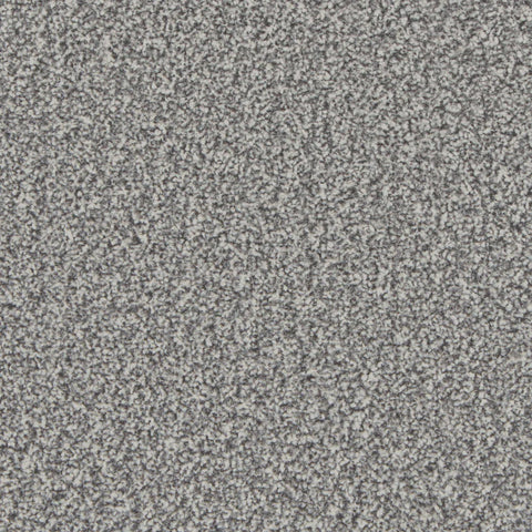 Kingston Silver Birch Carpet - Silver Birch / 4m