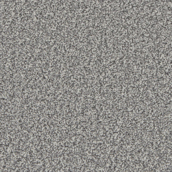 Kingston Silver Birch Carpet - Silver Birch / 4m