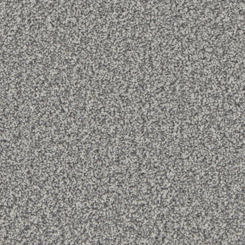 Kingston Silver Birch Carpet - Silver Birch / 4m
