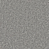 Kingston Silver Birch Carpet - Silver Birch / 4m