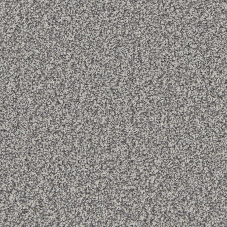 Kingston Silver Birch Carpet - Silver Birch / 4m