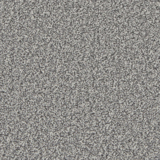 Kingston Silver Birch Carpet - Silver Birch / 4m
