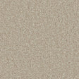 Kingston Woodbrook Carpet - Woodbrook / 4m