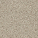 Kingston Woodbrook Carpet - Woodbrook / 4m