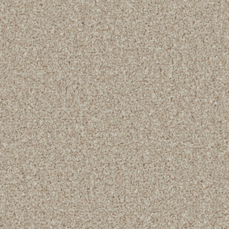 Kingston Woodbrook Carpet - Woodbrook / 4m