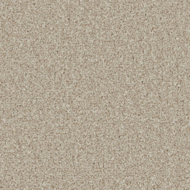 Kingston Woodbrook Carpet - Woodbrook / 4m