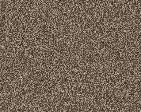 Brown textured carpet with dense looped pile | Home Centre Direct UK