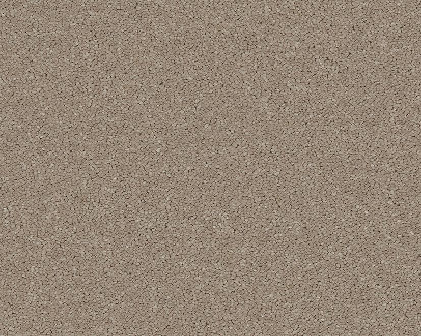 Cappuccino-toned carpet with dense, textured loop pile | Home Centre Direct UK