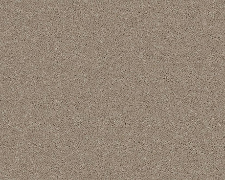 Cappuccino-toned carpet with dense, textured loop pile | Home Centre Direct UK