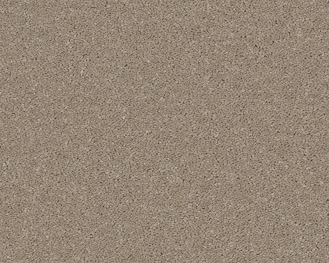 Cappuccino-toned carpet with dense, textured loop pile | Home Centre Direct UK