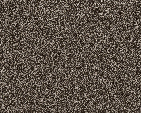 Rich brown textured carpet with dense loop pile | Home Centre Direct UK