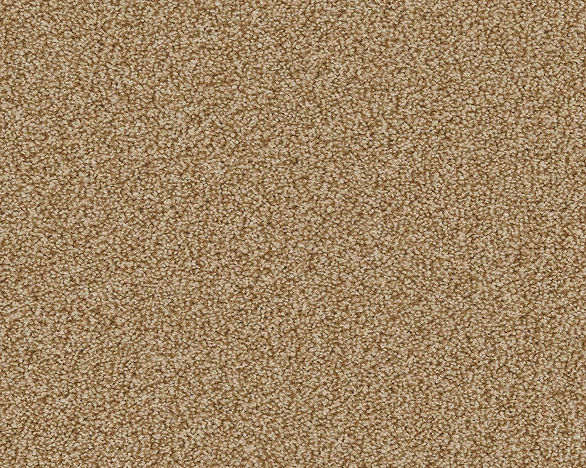 Warm beige loop-pile carpet with soft, textured surface | Home Centre Direct UK