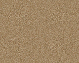 Warm beige loop-pile carpet with soft, textured surface | Home Centre Direct UK