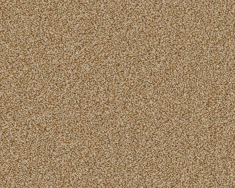 Warm beige loop-pile carpet with soft, textured surface | Home Centre Direct UK