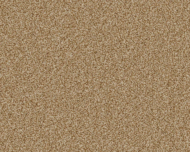 Warm beige loop-pile carpet with soft, textured surface | Home Centre Direct UK