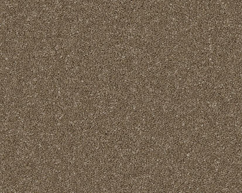 Natural brown carpet with dense textured pile | Home Centre Direct UK