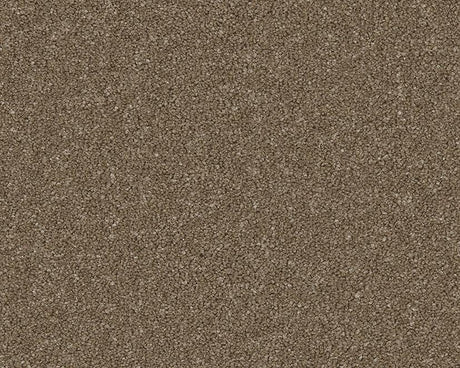 Natural brown carpet with dense textured pile | Home Centre Direct UK