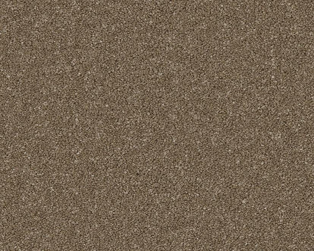 Natural brown carpet with dense textured pile | Home Centre Direct UK