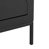 Brixton 2 Door Chest