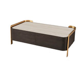 Modern coffee table with light wood top, dark base and gold metal trim