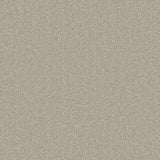 Beige textured carpet with soft, dense pile | Home Centre Direct UK