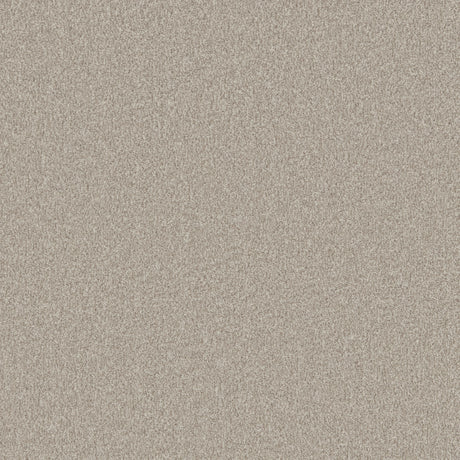 Beige textured carpet with soft, dense pile | Home Centre Direct UK