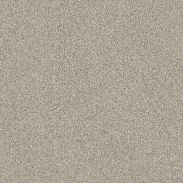 Beige textured carpet with soft, dense pile | Home Centre Direct UK