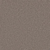 Mottled grey carpet with dense looped texture | Home Centre Direct UK