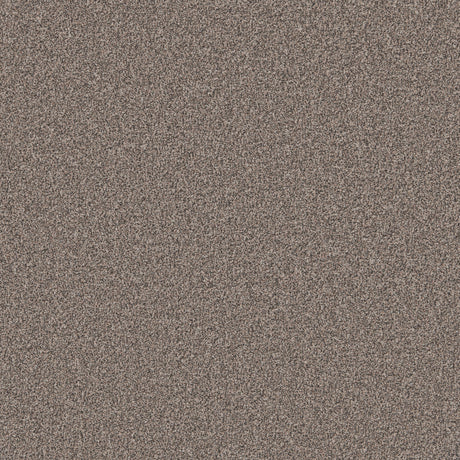 Mottled grey carpet with dense looped texture | Home Centre Direct UK