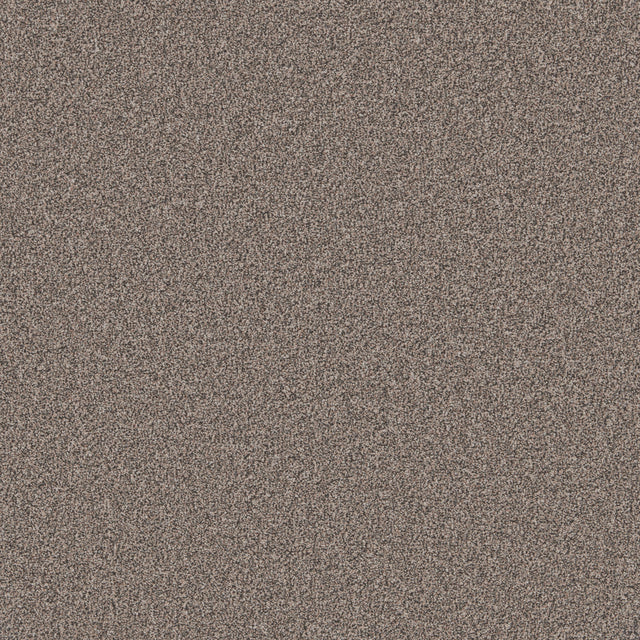 Mottled grey carpet with dense looped texture | Home Centre Direct UK