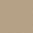 Warm beige carpet with a soft, even texture in a cozy living room setting | Home Centre Direct UK